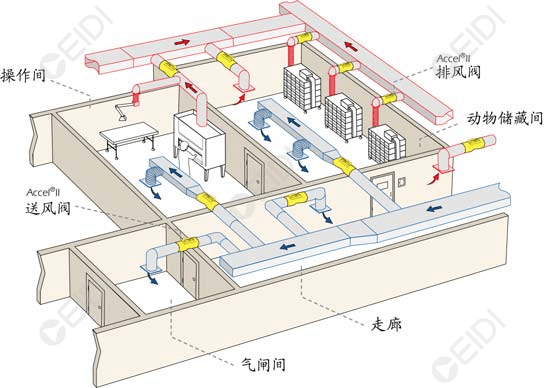 動(dòng)物實(shí)驗(yàn)室暖通設(shè)計(jì)：凈化動(dòng)物房裝修  CEIDI西遞